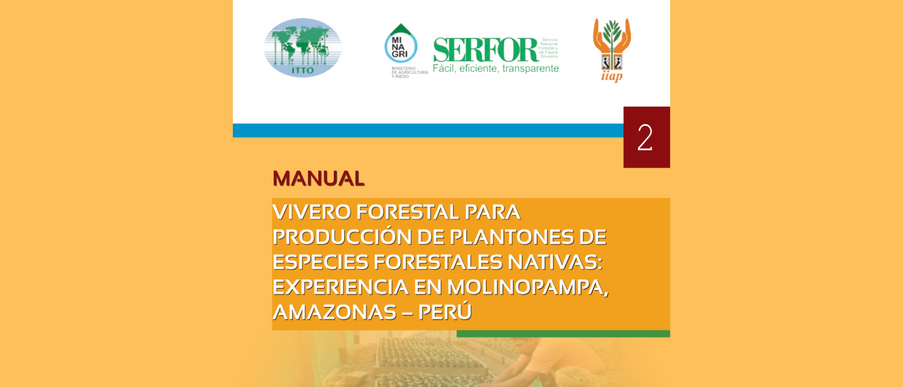 Vivero forestal para producción de plantones de especies forestales nativas: experiencia en Molinopampa, Amazonas – Perú.